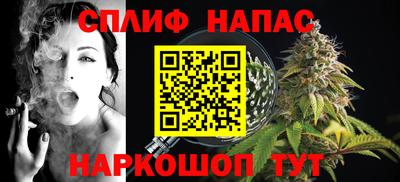 стафф Камышлов