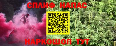 стафф Камышлов