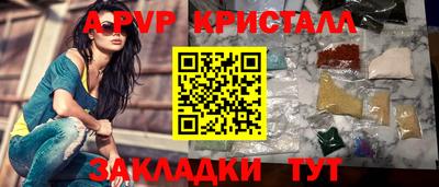 стафф Камышлов