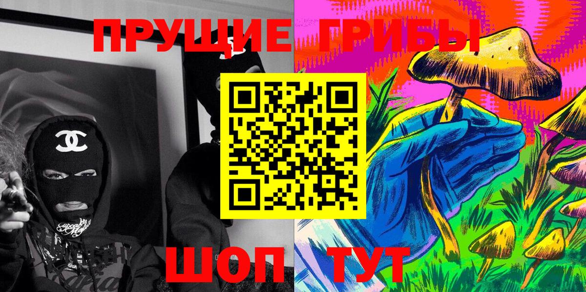 Псилоцибиновые грибы Psilocybe Шатура