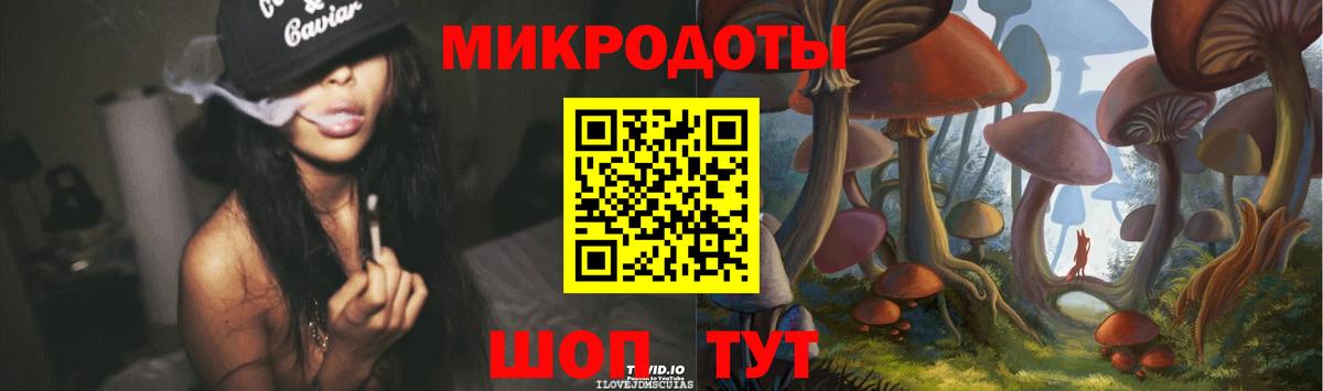 Шатура  Псилоцибиновые грибы Cubensis  Вход с VPN 